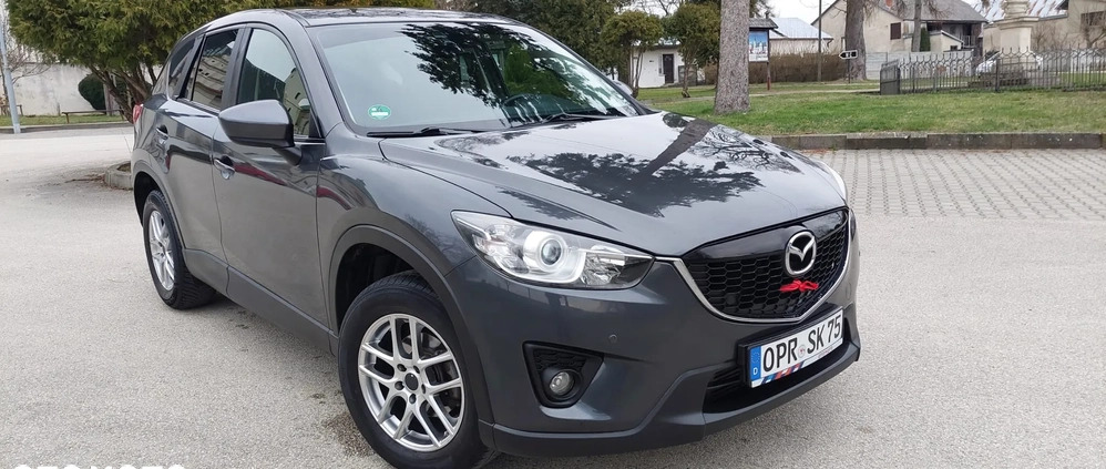 Mazda CX-5 cena 49999 przebieg: 219500, rok produkcji 2014 z Rudnik nad Sanem małe 254